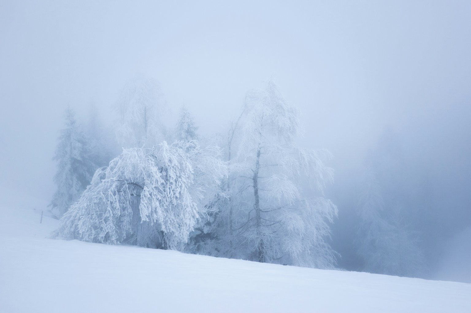 Winterlandschaft_ unsplash Pascal Debrunner.